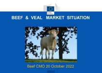 BEEF & VEAL MARKET SITUATION on October 2022 in EU