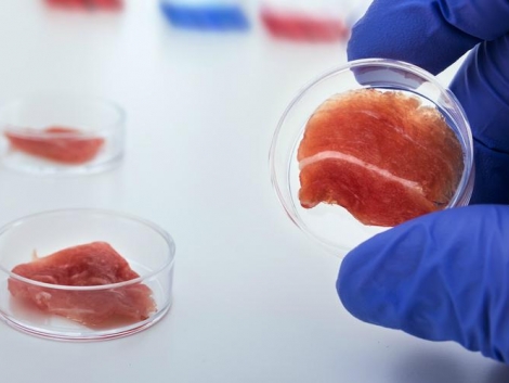 Meat from a test tube: what awaits humanity